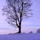 Winterlandschaft-Staffelsee