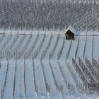 Winterlandschaft Südlicher Breisgau 1