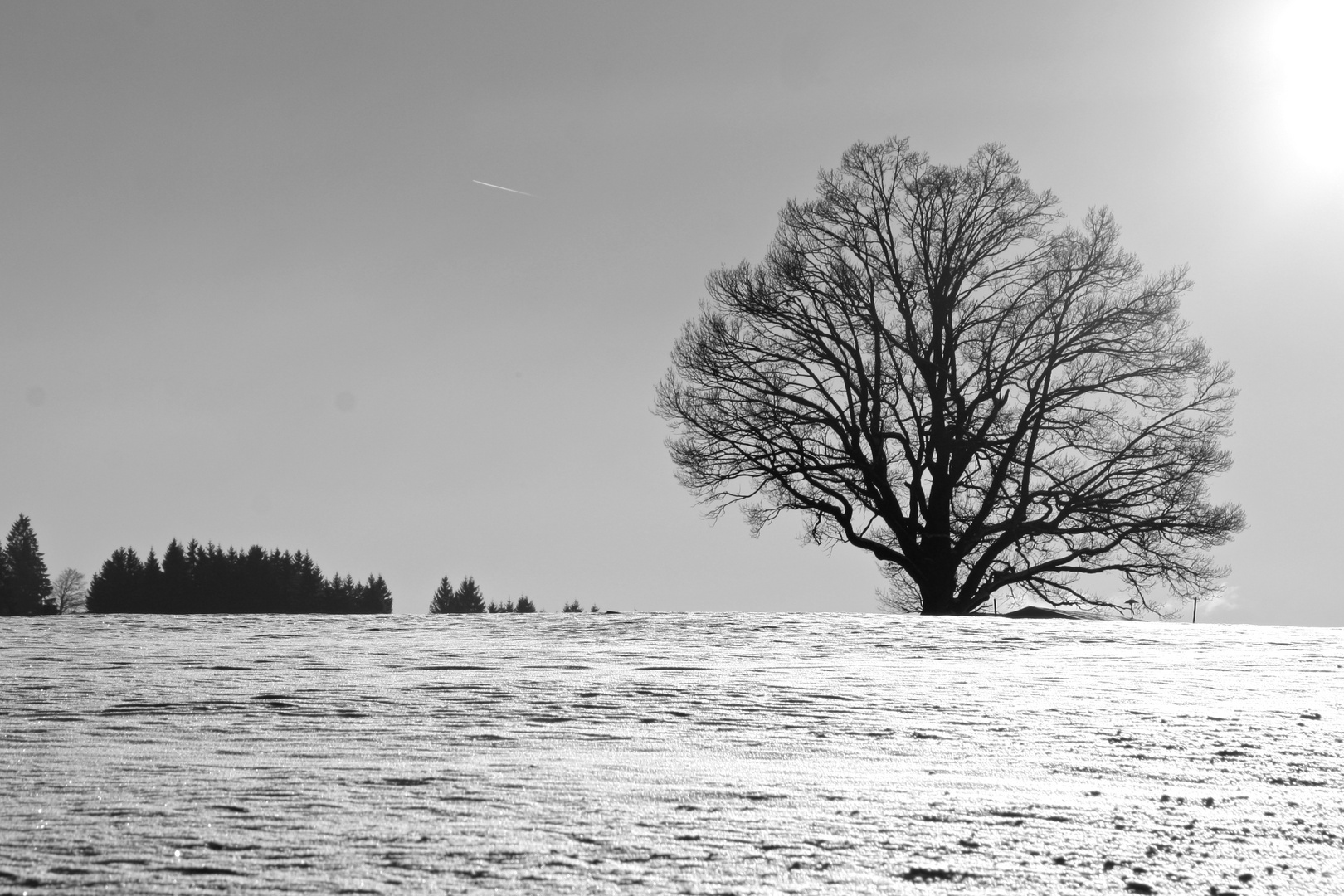 Winterlandschaft sw