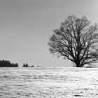 Winterlandschaft sw