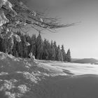 Winterlandschaft sw