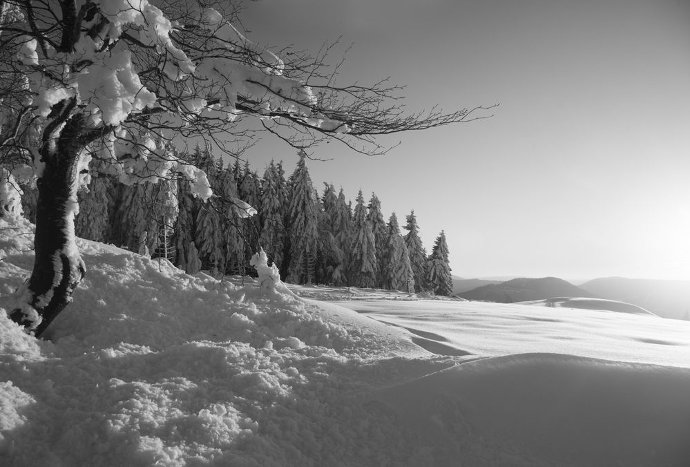 Winterlandschaft sw