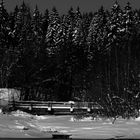 Winterlandschaft s/w am Schluchsee