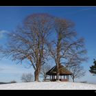 Winterlandschaft teil. III