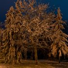 Winterlandschaft Thüringer Wald