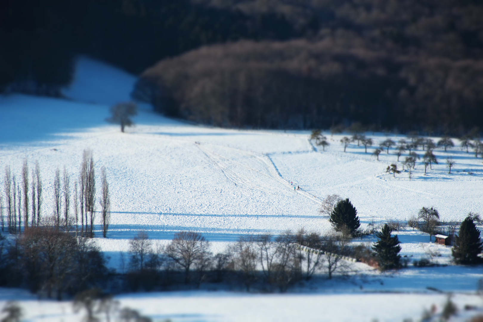 Winterlandschaft Tilt Shift