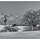 WINTERLANDSCHAFT-TIROL