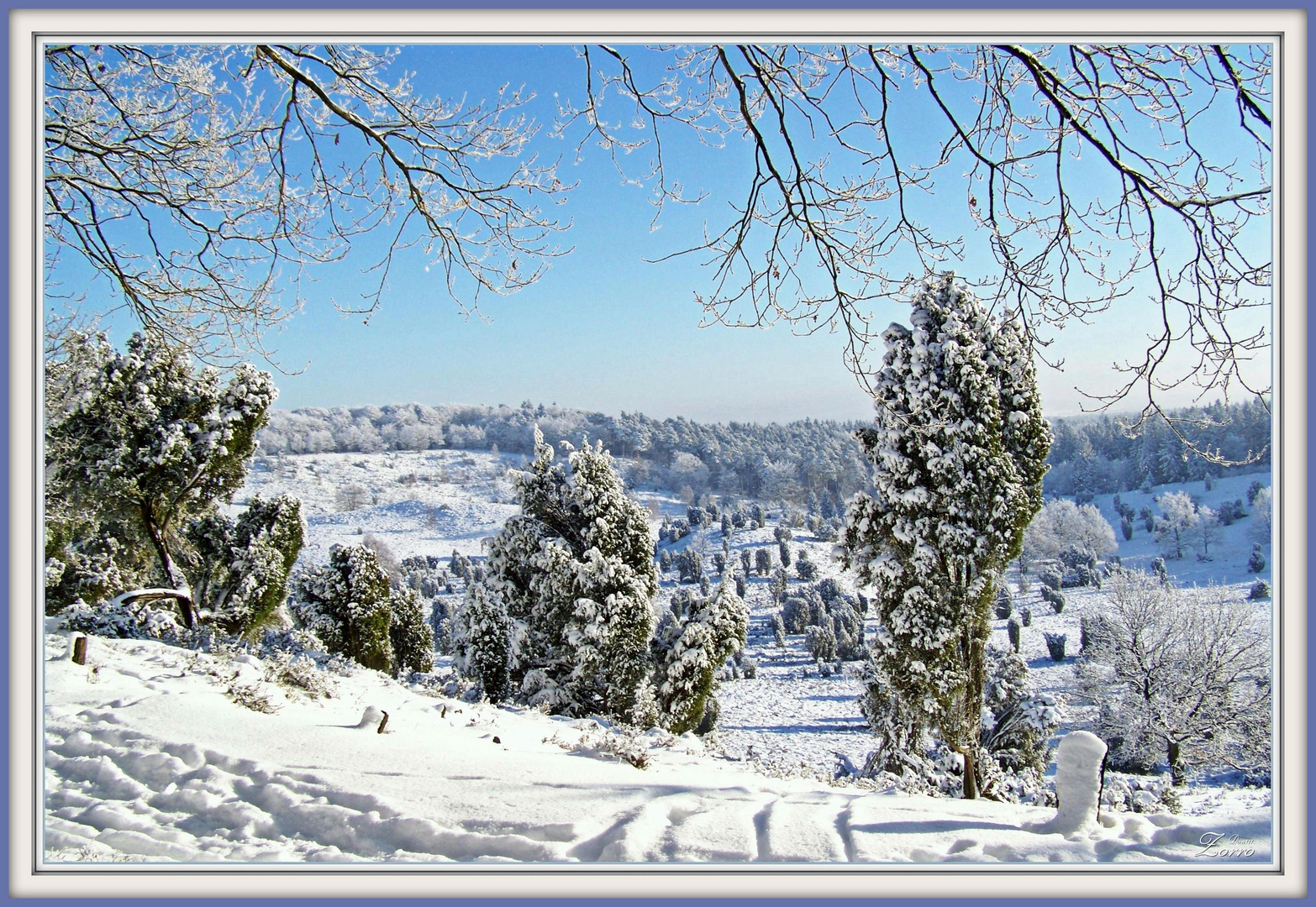 Winterlandschaft Totengrund