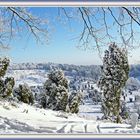 Winterlandschaft Totengrund