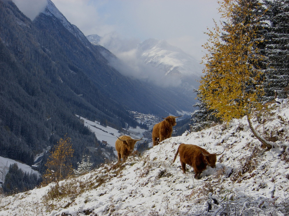 Winterlandschaft über Ischgl