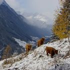 Winterlandschaft über Ischgl