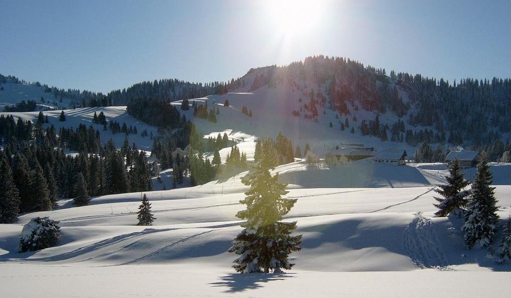 Winterlandschaft und ein Baum