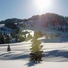 Winterlandschaft und ein Baum