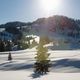 Winterlandschaft und ein Baum