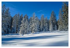 Winterlandschaft unterhalb des Brienzer Rothorn