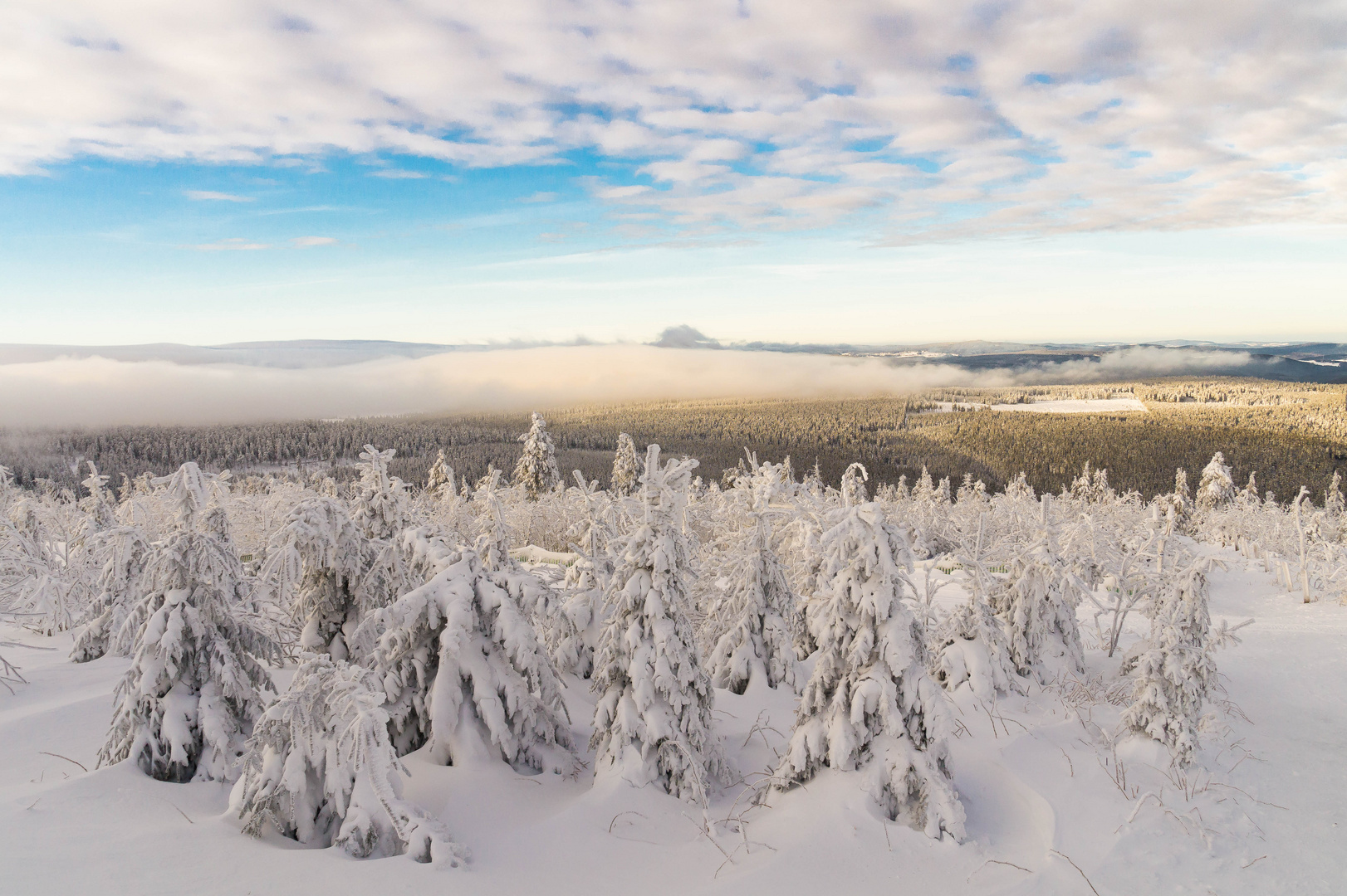 Winterlandschaft V