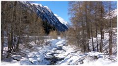 winterlandschaft V