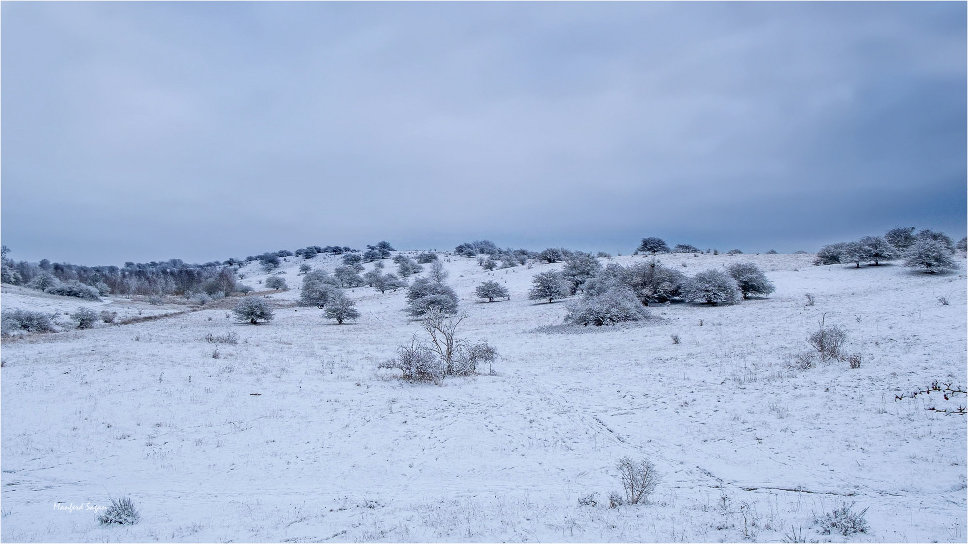 Winterlandschaft vor den Toren der Hansestadt Stralsund...