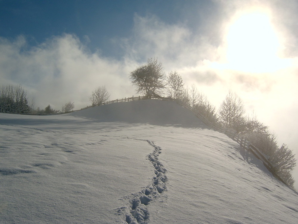 Winterlandschaft vorm Haus