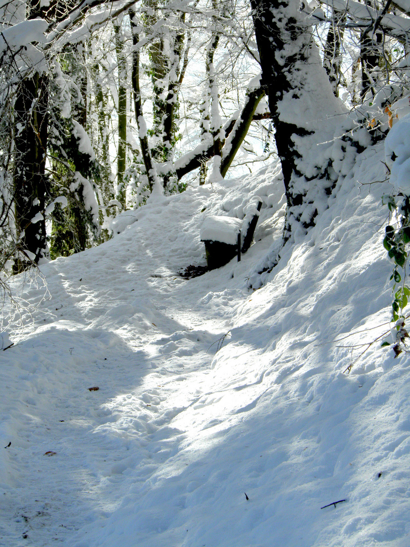 Winterlandschaft Wald