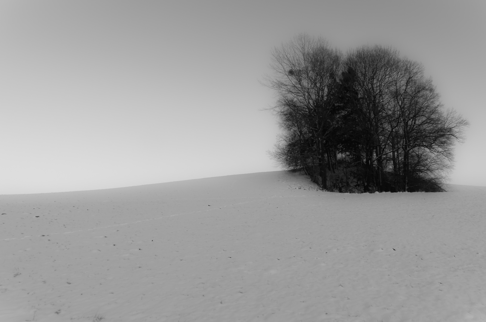 Winterlandschaft Waldzell