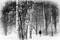 Winterlandschaft Wienburgpark