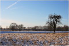 Winterlandschaft (Winterimpressionen 5)