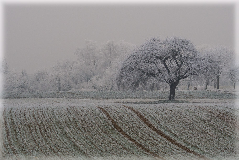 Winterlandschaft zwischen Muggensturm und Malsch