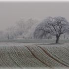 Winterlandschaft zwischen Muggensturm und Malsch