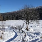 Winterlandschaft001