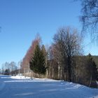 Winterlandschaft005