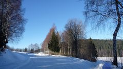 Winterlandschaft005