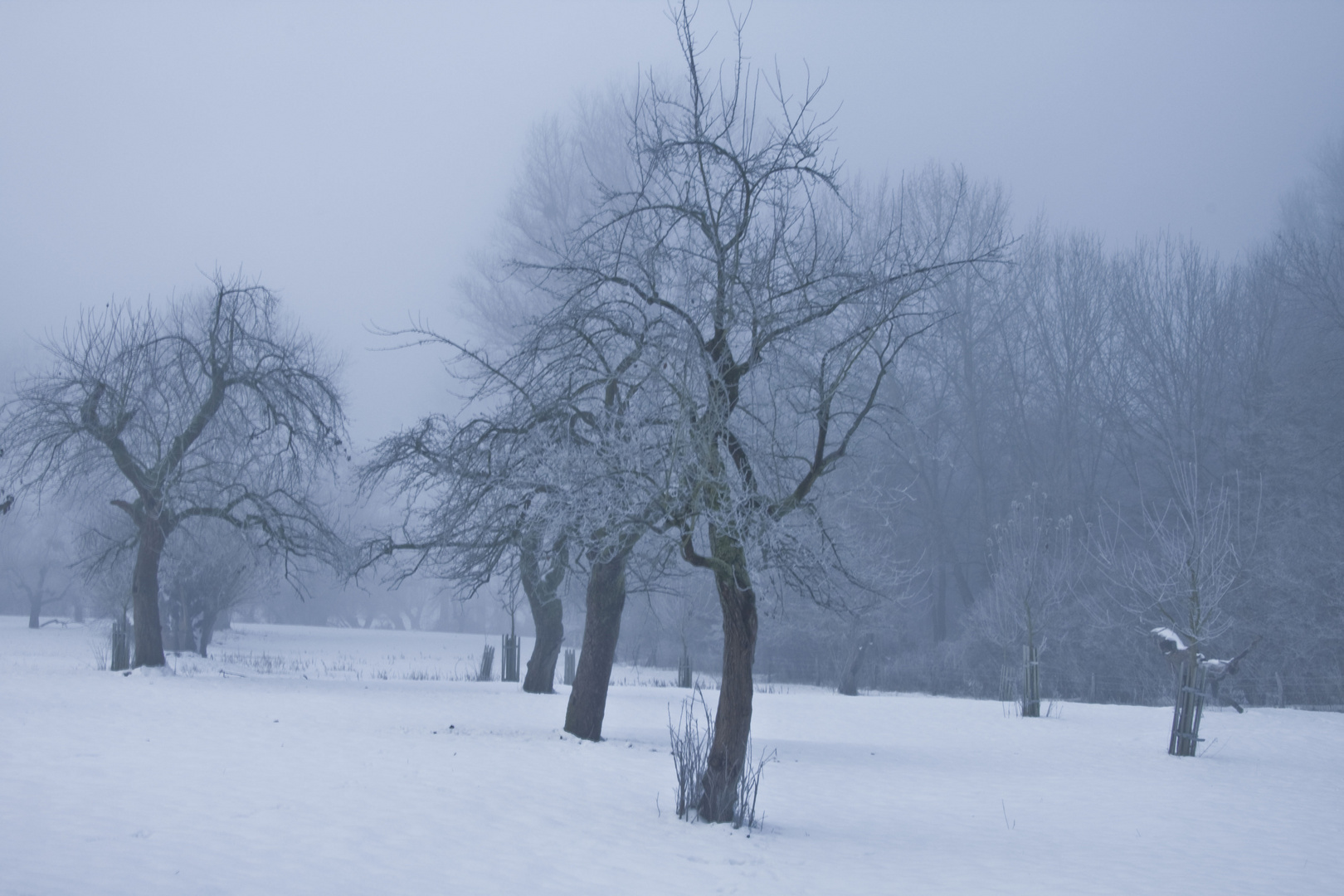 Winterlandschaft1