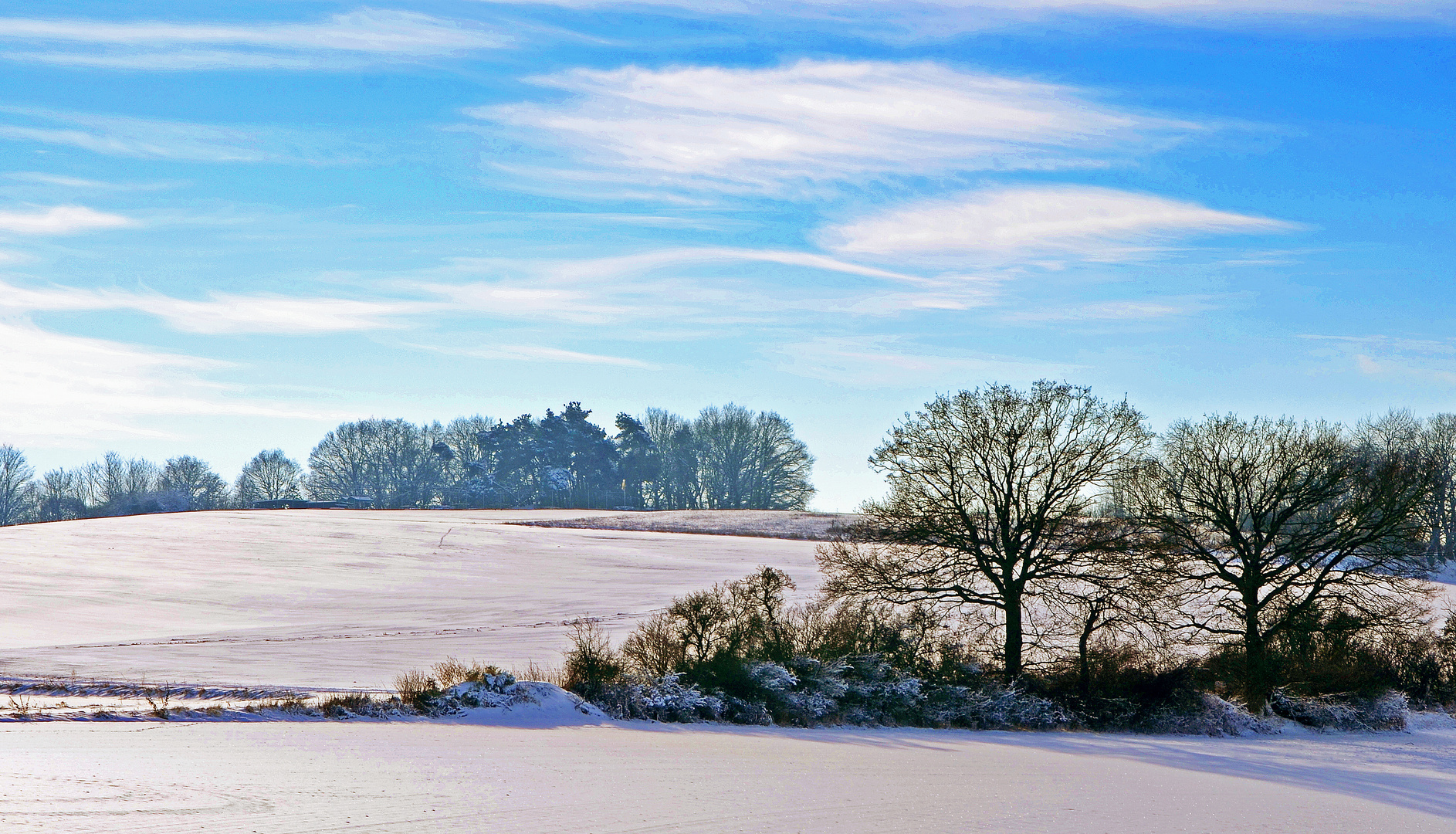 Winterlandschaft1