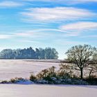 Winterlandschaft1