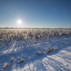 Winterlandschaft2