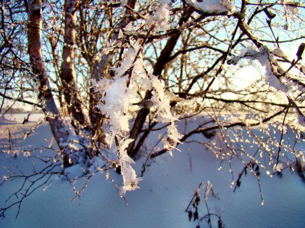 Winterlandschaft2