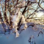 Winterlandschaft2