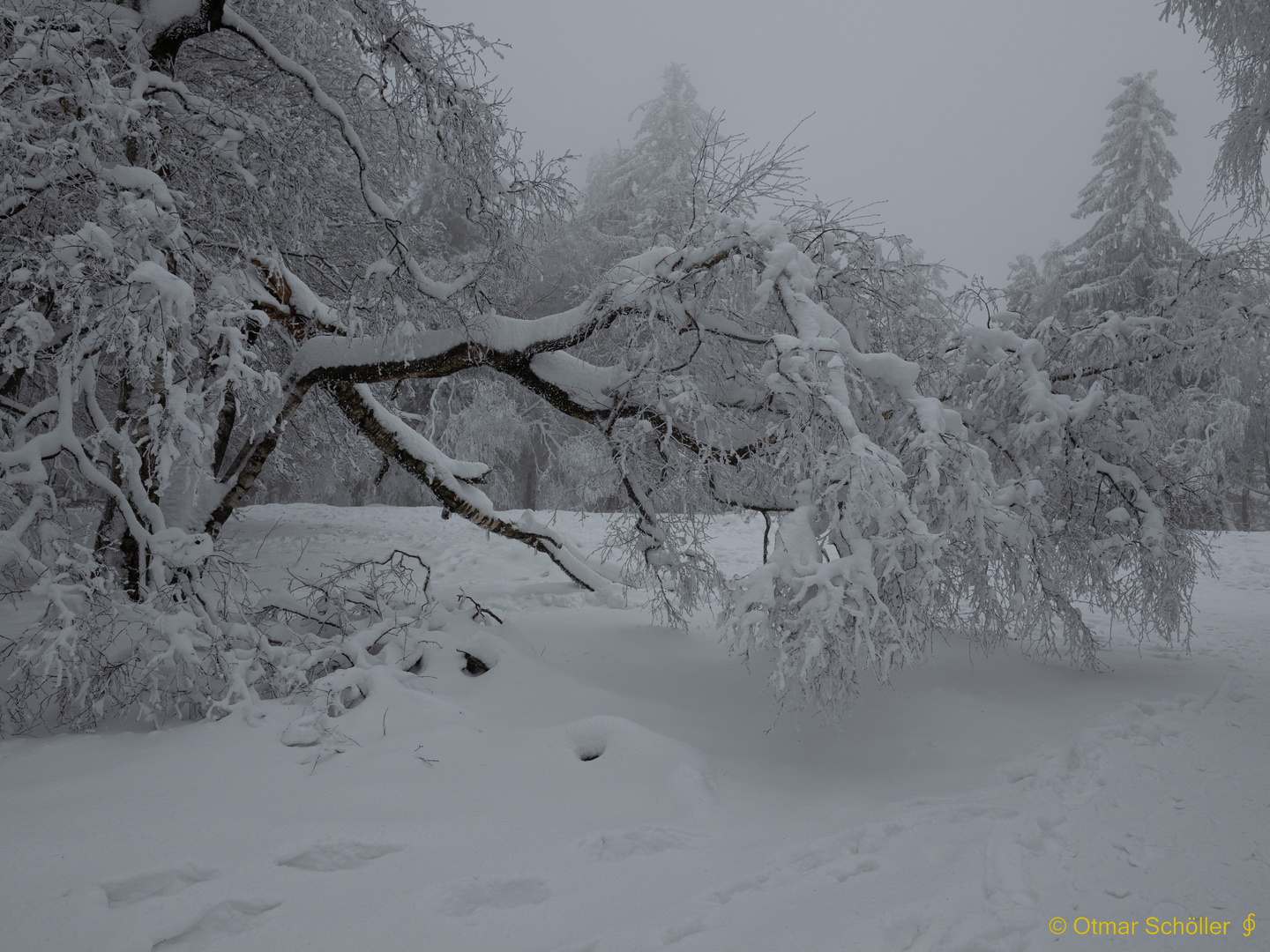 Winterlandschaft_2