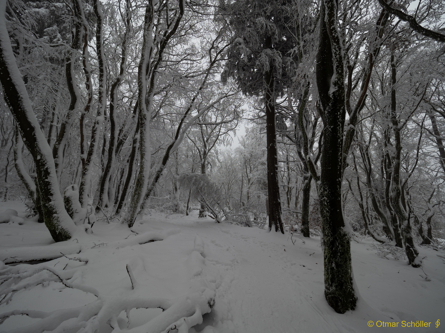 Winterlandschaft_3