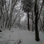 Winterlandschaft_3