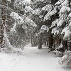 Winterlandschaft_4