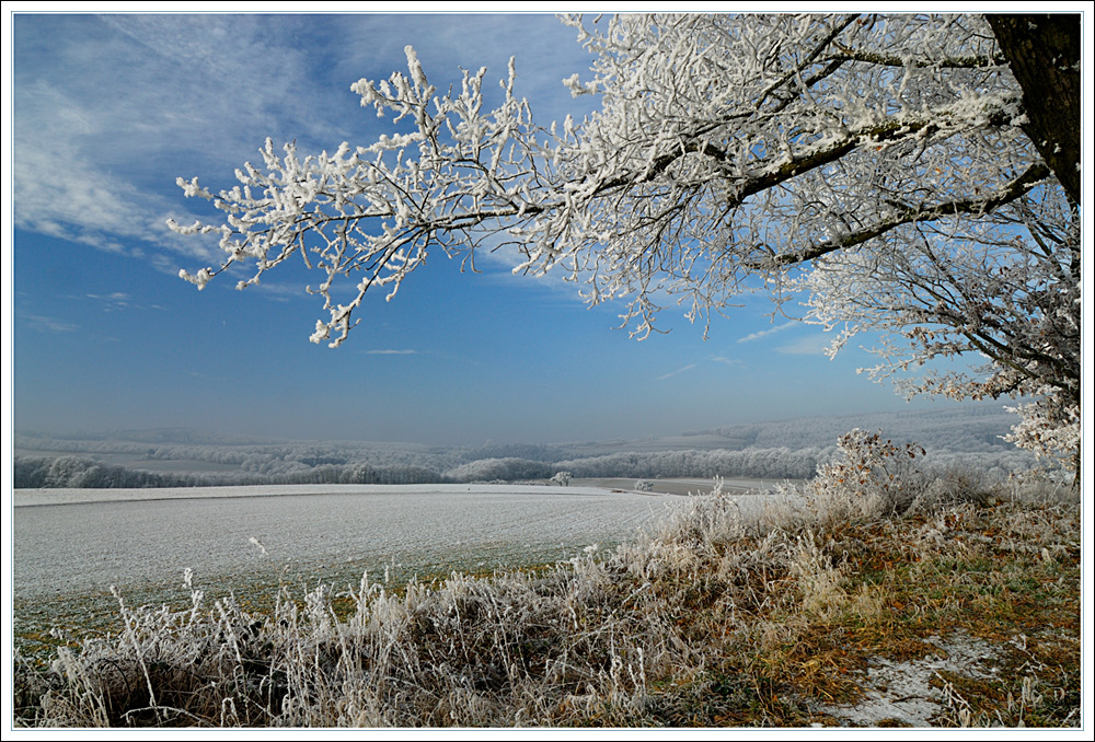 winterlandschaft_6