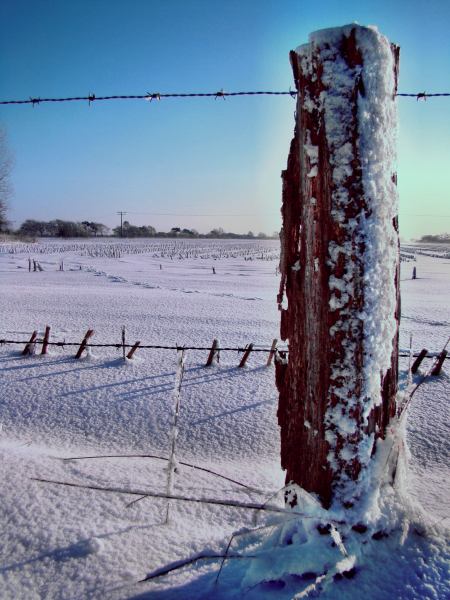 Winterlandschaft6