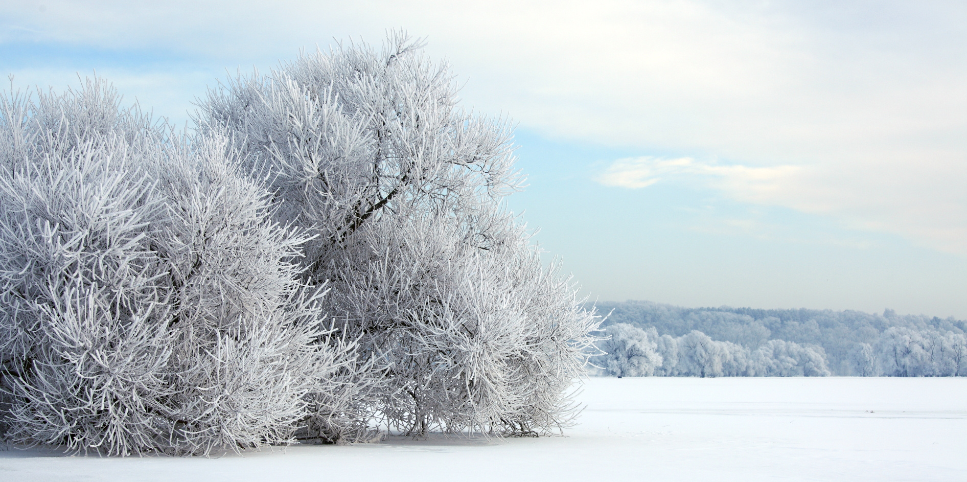 Winterlandschaft7