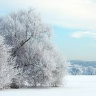 Winterlandschaft7