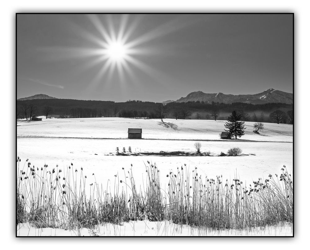 Winterlandschaft,Ammergauer Alpen,das blaue Land in schwarz weiss