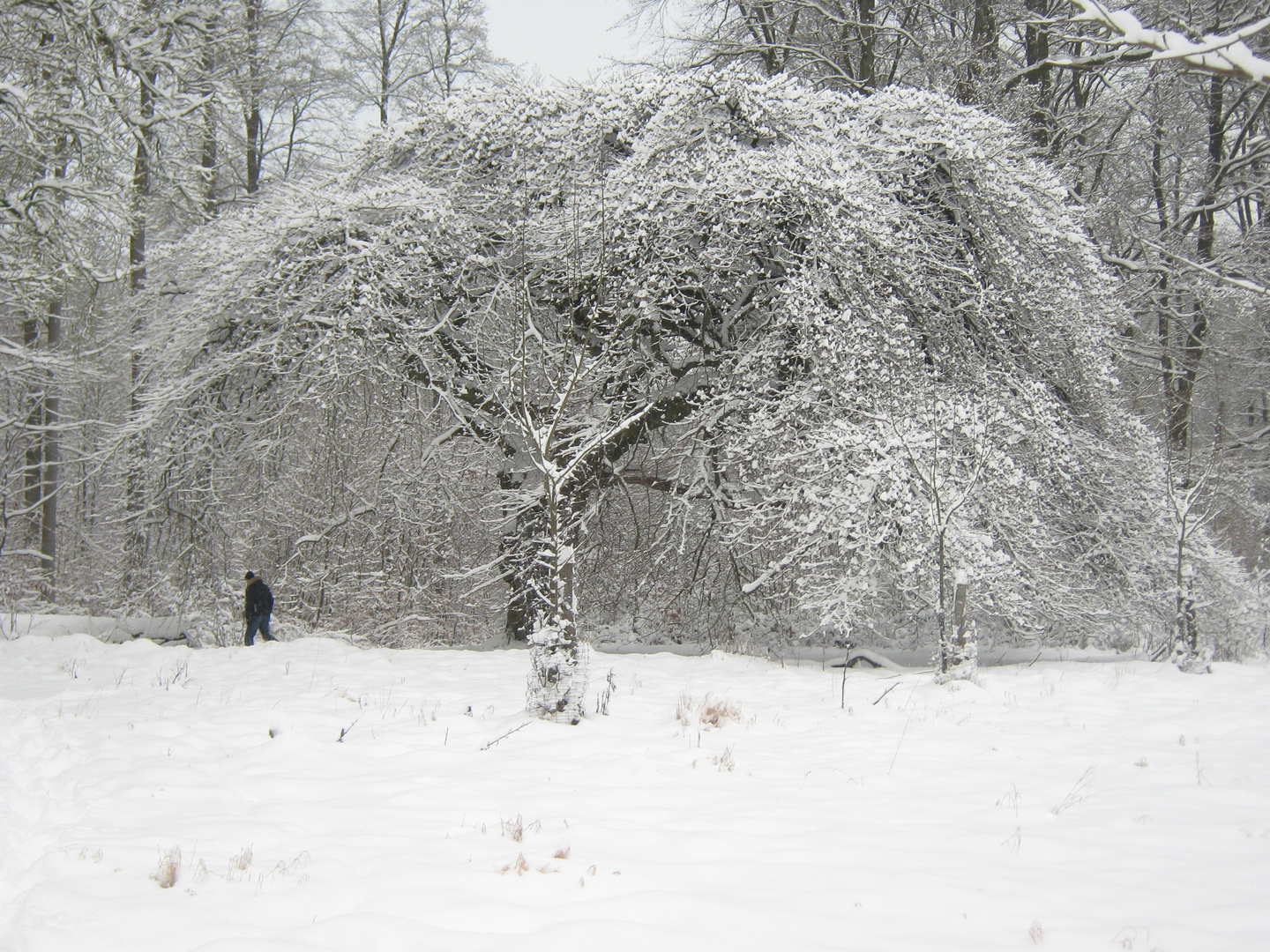 winterlandschaften