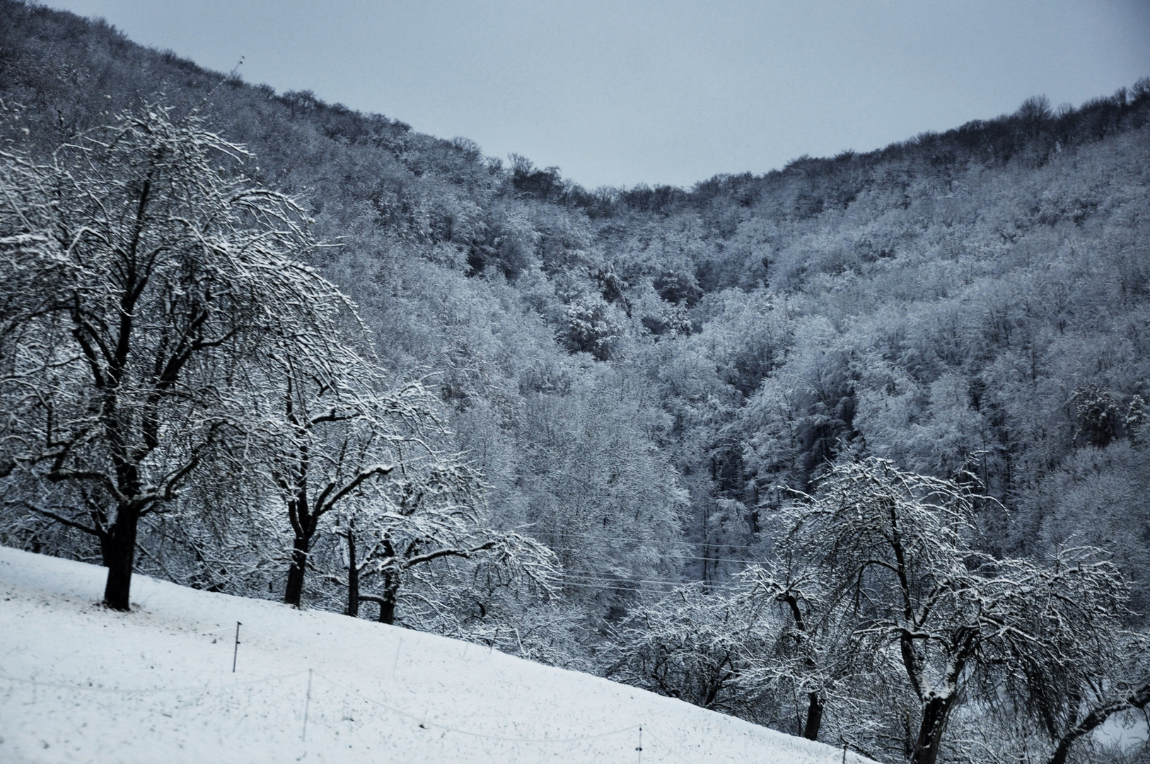 Winterlandschaften 4