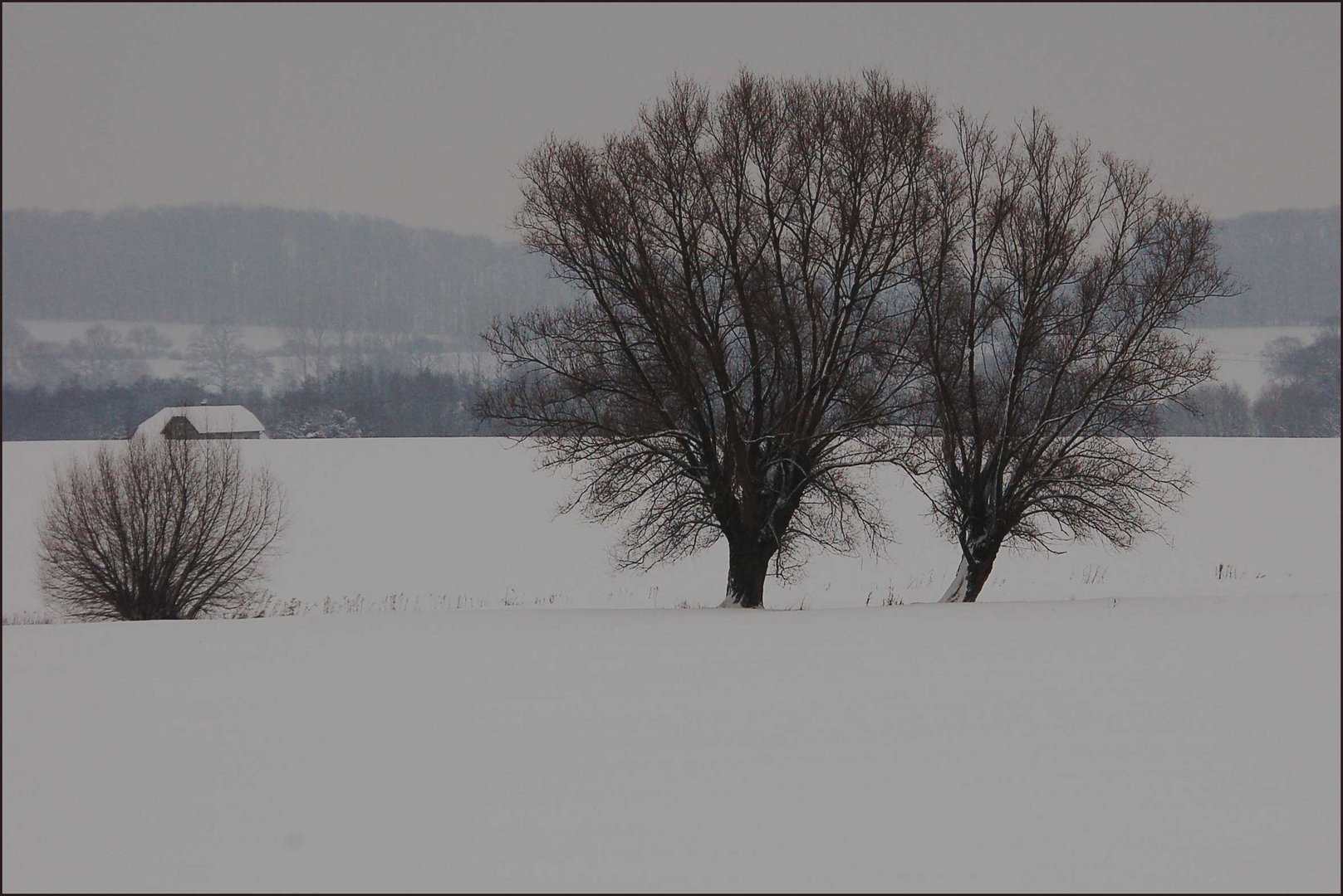 winterlandschaften